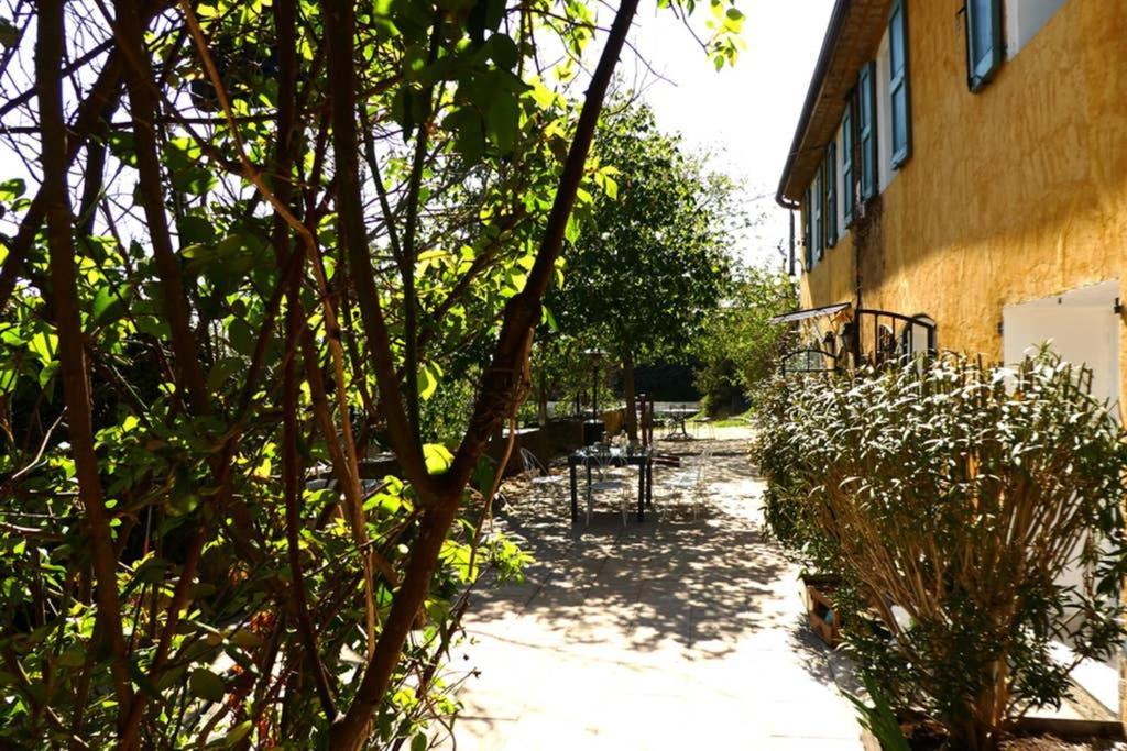 Belle Longere Au Calme - L'Auguste Maison D'Hotes Valensole Zewnętrze zdjęcie