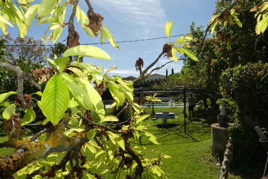 Belle Longere Au Calme - L'Auguste Maison D'Hotes Valensole Zewnętrze zdjęcie